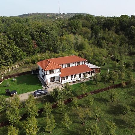Pensiunea Emelys, Iasi Barnova Exterior photo