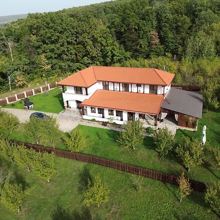 Pensiunea Emelys, Iasi Barnova Exterior photo