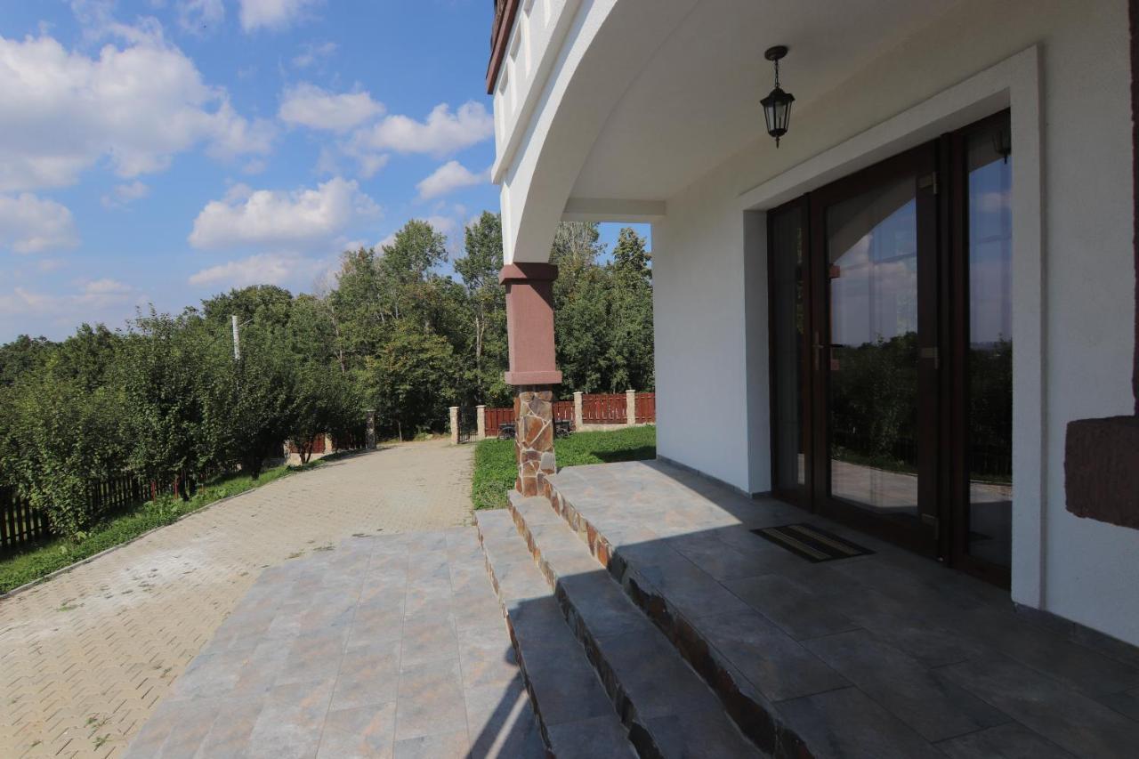 Pensiunea Emelys, Iasi Barnova Exterior photo