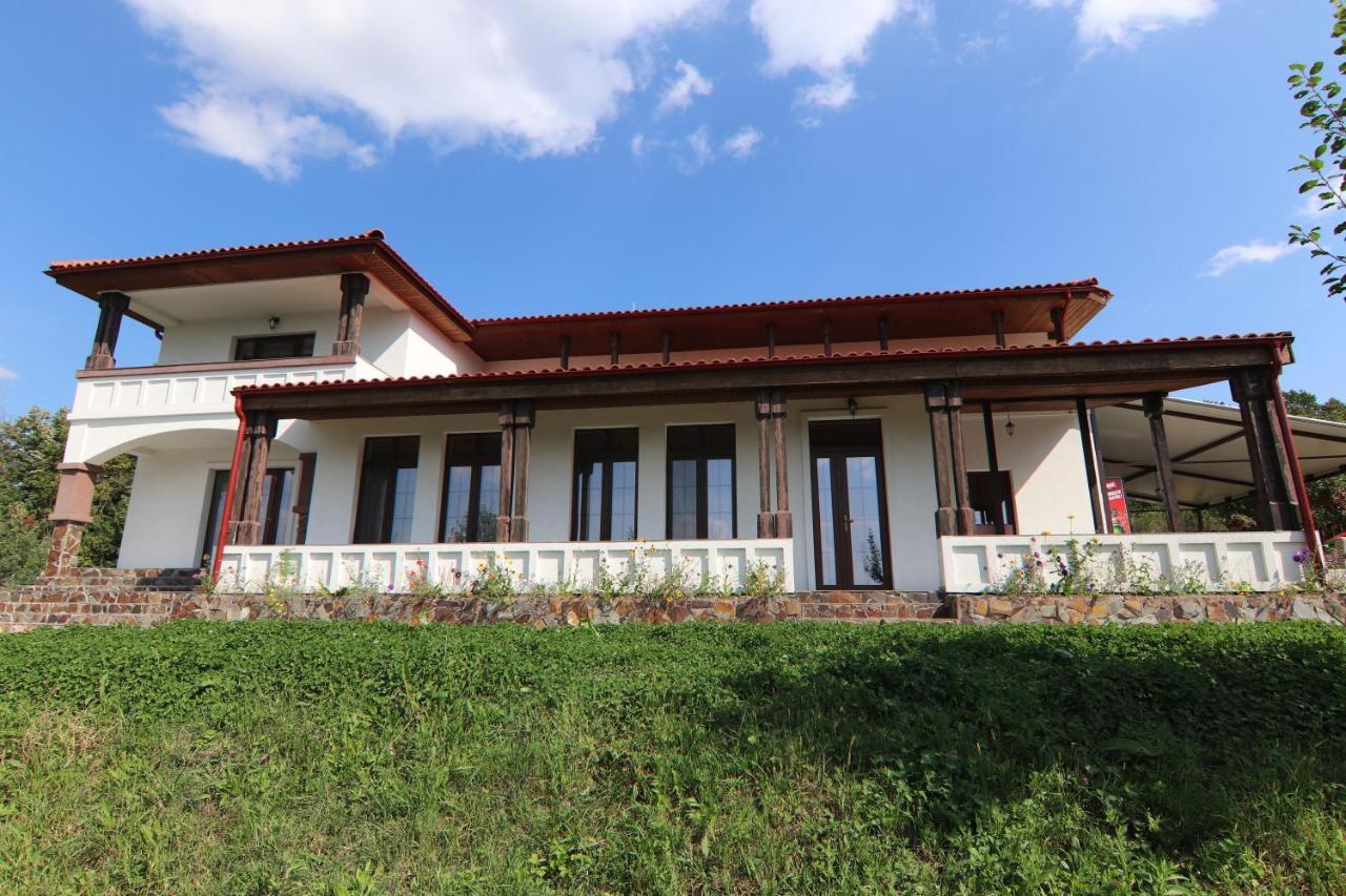 Pensiunea Emelys, Iasi Barnova Exterior photo
