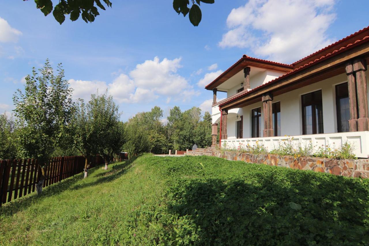 Pensiunea Emelys, Iasi Barnova Exterior photo